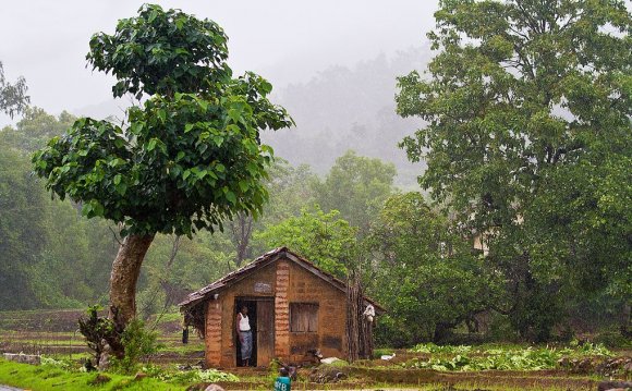 The Design Of The Tree House
